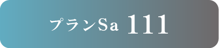 Sa111